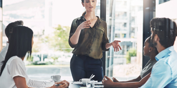 Coaching Emocional para Ejecutivos y Equipos Directivos  Sant Pere Sallavinera · Gestión de equipos